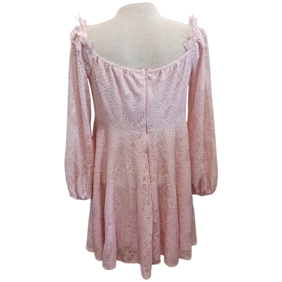 Double Crazy Womens Dress Fit & Flare Cotton Candy Pink Lace XL Spring - Picture 2 of 6